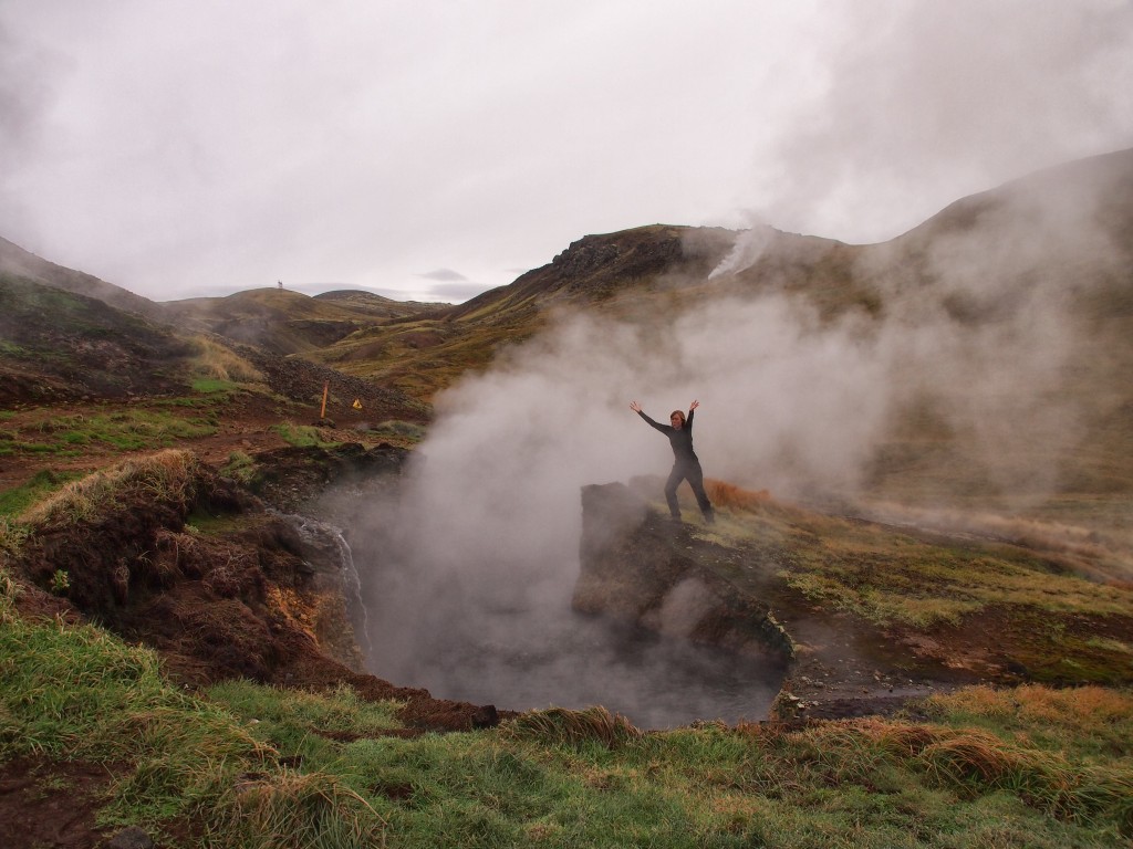 After the ADMB Developers' Meeting, I investigated the thermal activity in Iceland.
