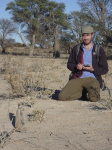 Close follows up are essential to record important behavioural and ecological information and to keep the animals habituated to researchers