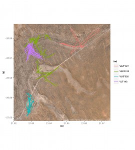 Movements of four collared females in and around Kuruman River Reserve, home to the Kalahari Meerkat Project