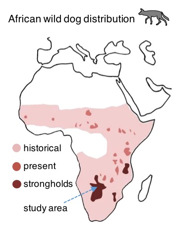Past and present African wild dog distribution